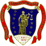 Harris County Criminal Lawyers Association (HCCLA)